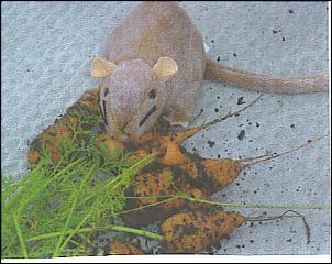 Name:  10-02-2007%2001%3B32%3B55PM.jpg
Views: 413
Size:  19.0 KB