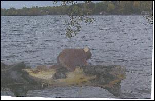 Name:  10-09-2007%2001%3B03%3B17PM.jpg
Views: 188
Size:  13.4 KB