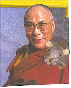 Name:  10-10-2007%2005%3B01%3B58PM.jpg
Views: 190
Size:  17.9 KB