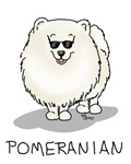Name: pom.jpg
Views: 302
Size: 6.9 KB