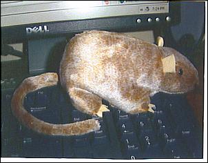 Name: 09-30-2007%2003%3B26%3B31PM.jpg
Views: 819
Size: 16.1 KB