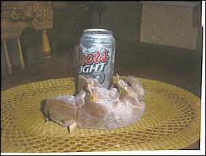 Name: 10-02-2007%2008%3B49%3B18AM.jpg
Views: 432
Size: 15.2 KB