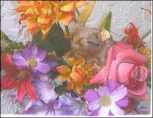 Name: 10-12-2007%2001%3B38%3B49PM.jpg
Views: 183
Size: 19.2 KB